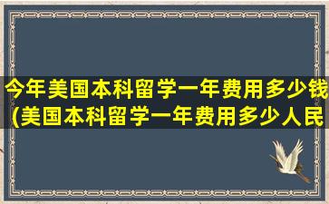 今年美国本科留学一年费用多少钱(美国本科留学一年费用多少人民币)