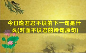 今日逢君君不识的下一句是什么(对面不识君的诗句原句)