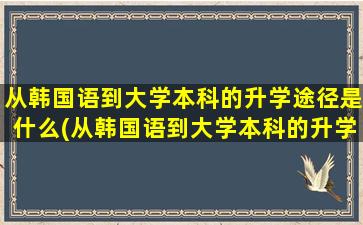 从韩国语到大学本科的升学途径是什么(从韩国语到大学本科的升学途径)