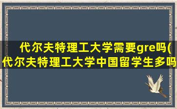 代尔夫特理工大学需要gre吗(代尔夫特理工大学中国留学生多吗)