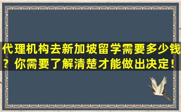 代理机构去新加坡留学需要多少钱？你需要了解清楚才能做出决定！