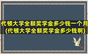 代顿大学全额奖学金多少钱一个月(代顿大学全额奖学金多少钱啊)