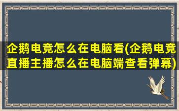 企鹅电竞怎么在电脑看(企鹅电竞直播主播怎么在电脑端查看弹幕)