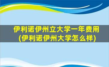 伊利诺伊州立大学一年费用(伊利诺伊州大学怎么样)