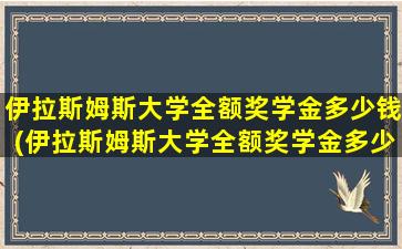 伊拉斯姆斯大学全额奖学金多少钱(伊拉斯姆斯大学全额奖学金多少钱一个月)