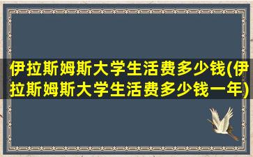 伊拉斯姆斯大学生活费多少钱(伊拉斯姆斯大学生活费多少钱一年)