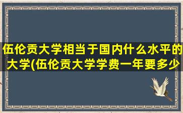 伍伦贡大学相当于国内什么水平的大学(伍伦贡大学学费一年要多少钱)