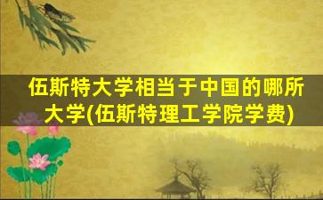 伍斯特大学相当于中国的哪所大学(伍斯特理工学院学费)