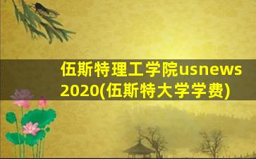 伍斯特理工学院usnews2020(伍斯特大学学费)