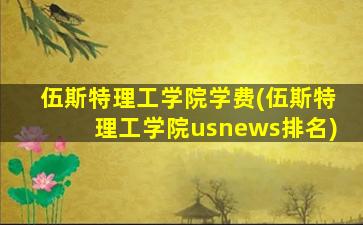 伍斯特理工学院学费(伍斯特理工学院usnews排名)