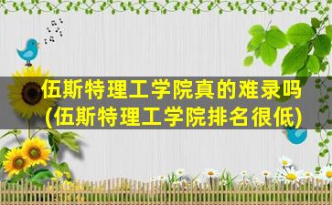 伍斯特理工学院真的难录吗(伍斯特理工学院排名很低)