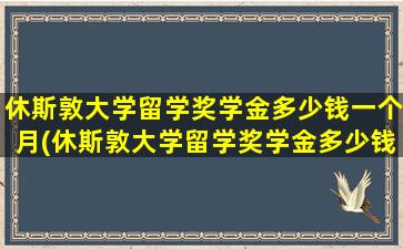 休斯敦大学留学奖学金多少钱一个月(休斯敦大学留学奖学金多少钱啊)