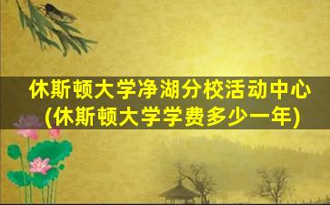 休斯顿大学净湖分校活动中心(休斯顿大学学费多少一年)