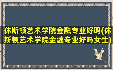 休斯顿艺术学院金融专业好吗(休斯顿艺术学院金融专业好吗女生)