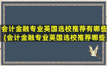 会计金融专业英国选校推荐有哪些(会计金融专业英国选校推荐哪些)