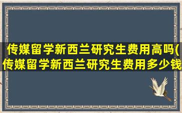 传媒留学新西兰研究生费用高吗(传媒留学新西兰研究生费用多少钱)