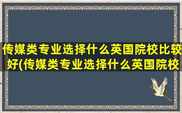 传媒类专业选择什么英国院校比较好(传媒类专业选择什么英国院校最好)