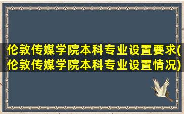 伦敦传媒学院本科专业设置要求(伦敦传媒学院本科专业设置情况)