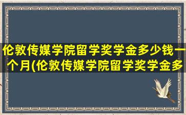 伦敦传媒学院留学奖学金多少钱一个月(伦敦传媒学院留学奖学金多少钱啊)