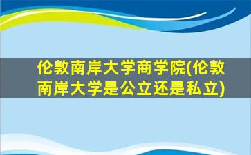 伦敦南岸大学商学院(伦敦南岸大学是公立还是私立)