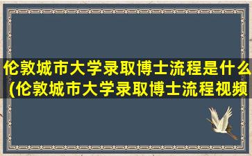 伦敦城市大学录取博士流程是什么(伦敦城市大学录取博士流程视频)