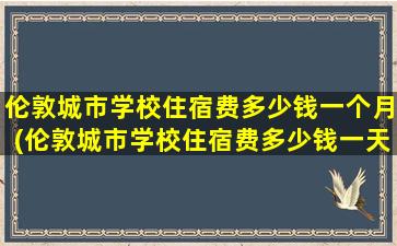 伦敦城市学校住宿费多少钱一个月(伦敦城市学校住宿费多少钱一天)