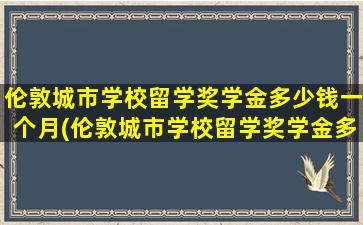 伦敦城市学校留学奖学金多少钱一个月(伦敦城市学校留学奖学金多少钱啊)