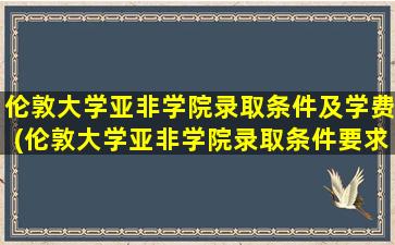 伦敦大学亚非学院录取条件及学费(伦敦大学亚非学院录取条件要求)