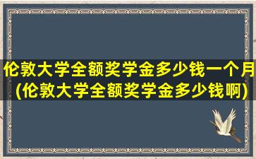 伦敦大学全额奖学金多少钱一个月(伦敦大学全额奖学金多少钱啊)