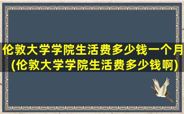 伦敦大学学院生活费多少钱一个月(伦敦大学学院生活费多少钱啊)