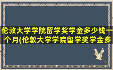 伦敦大学学院留学奖学金多少钱一个月(伦敦大学学院留学奖学金多少钱啊)