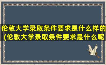 伦敦大学录取条件要求是什么样的(伦敦大学录取条件要求是什么呢)