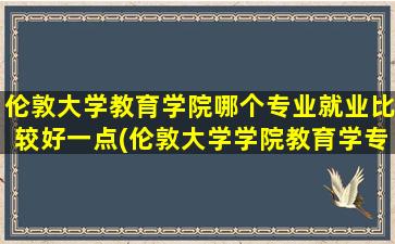 伦敦大学教育学院哪个专业就业比较好一点(伦敦大学学院教育学专业好吗)