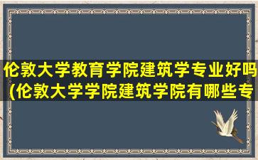 伦敦大学教育学院建筑学专业好吗(伦敦大学学院建筑学院有哪些专业)