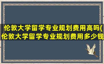 伦敦大学留学专业规划费用高吗(伦敦大学留学专业规划费用多少钱)