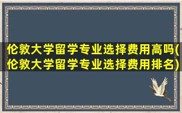 伦敦大学留学专业选择费用高吗(伦敦大学留学专业选择费用排名)