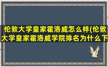 伦敦大学皇家霍洛威怎么样(伦敦大学皇家霍洛威学院排名为什么下降)