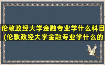 伦敦政经大学金融专业学什么科目(伦敦政经大学金融专业学什么的)