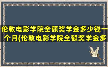 伦敦电影学院全额奖学金多少钱一个月(伦敦电影学院全额奖学金多少钱)