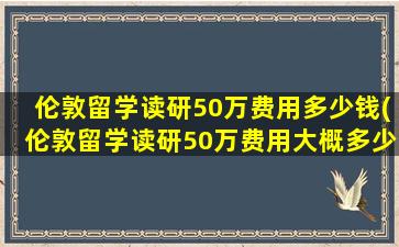 伦敦留学读研50万费用多少钱(伦敦留学读研50万费用大概多少)