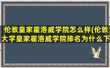 伦敦皇家霍洛威学院怎么样(伦敦大学皇家霍洛威学院排名为什么下降)