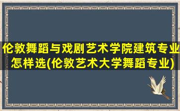 伦敦舞蹈与戏剧艺术学院建筑专业怎样选(伦敦艺术大学舞蹈专业)