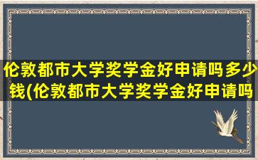 伦敦都市大学奖学金好申请吗多少钱(伦敦都市大学奖学金好申请吗现在)