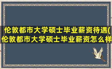 伦敦都市大学硕士毕业薪资待遇(伦敦都市大学硕士毕业薪资怎么样)