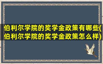 伯利尔学院的奖学金政策有哪些(伯利尔学院的奖学金政策怎么样)