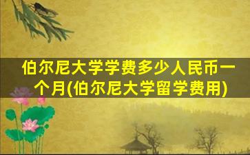 伯尔尼大学学费多少人民币一个月(伯尔尼大学留学费用)