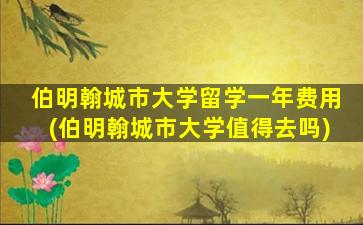 伯明翰城市大学留学一年费用(伯明翰城市大学值得去吗)