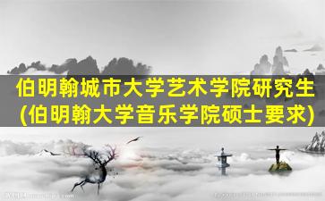 伯明翰城市大学艺术学院研究生(伯明翰大学音乐学院硕士要求)