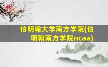 伯明翰大学南方学院(伯明翰南方学院ncaa)