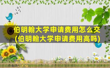 伯明翰大学申请费用怎么交(伯明翰大学申请费用高吗)